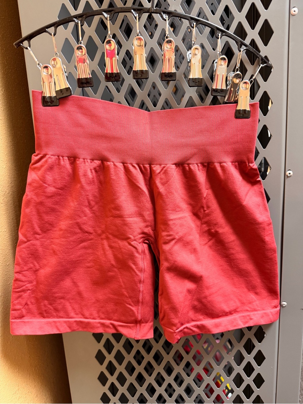 NVGTN Shorts